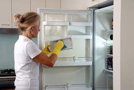 fridge cleaning 