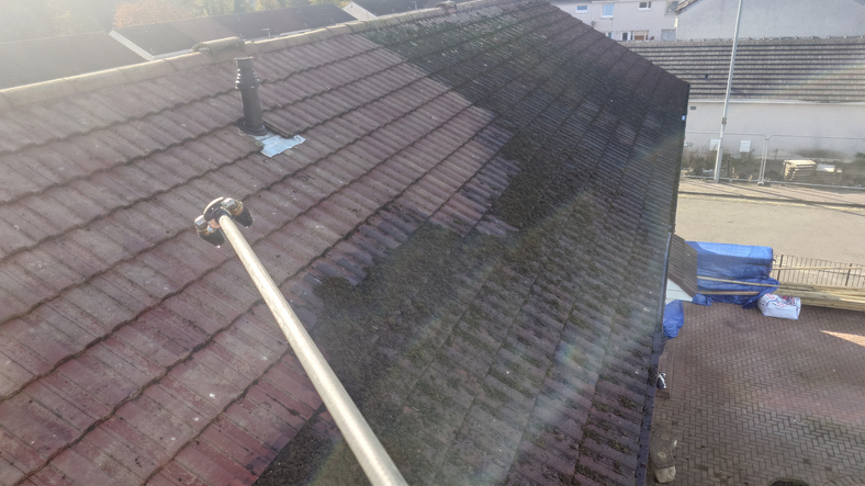 Moss removal, low pressure roof cleaning